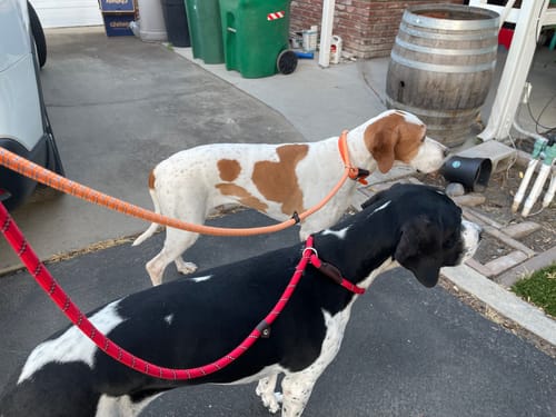 Customer photo review of FIDA Durable Slip Lead