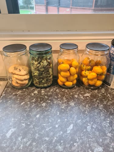 undefined review of Mason Genie® Vacuum Sealer Kit image 1 out of 4