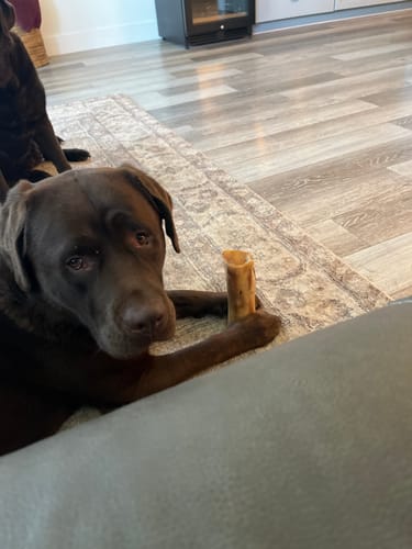 Customer photo review of Smoked Beef Marrow Bone