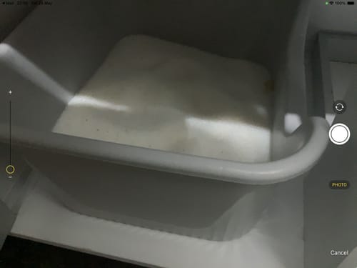 Customer photo review of 1 Month Supply – 2 Cat