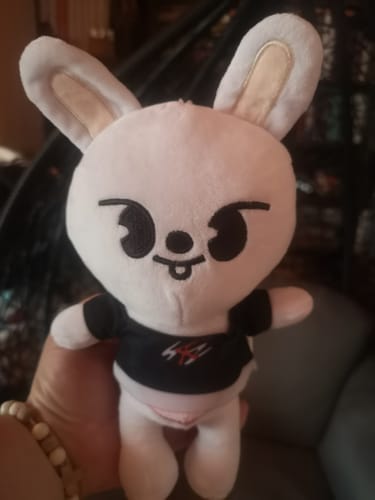 Customer photo review of Kpop Members Cartoon Character Plush Toy