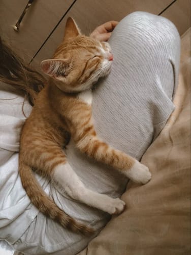 Customer photo review of Patsli Belly