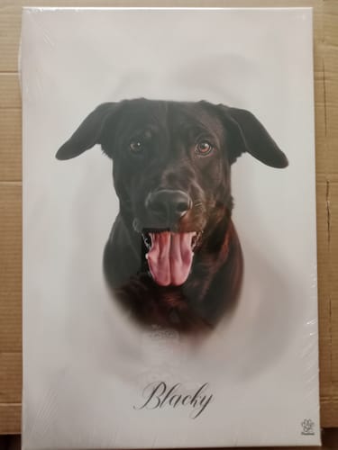 Customer photo review of Öl Pawtrait