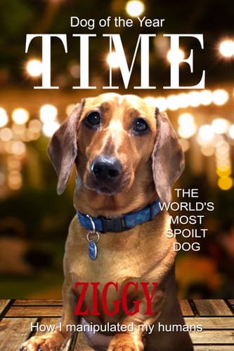Customer photo review of Custom Time Magazine Pet Portrait