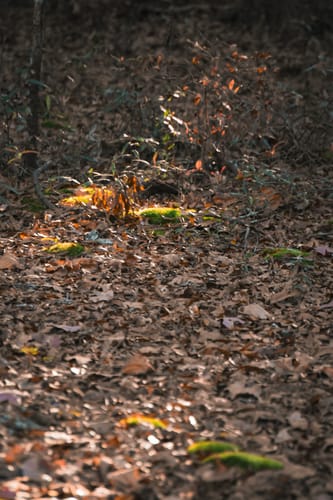 Customer photo review of Deep Dusk LIMITED Lightroom Presets Pack