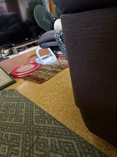 Customer photo review of Multifunctional Cat Scratching Carpet