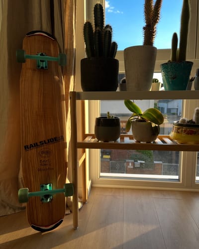 Customer photo review of Bastl Boards - Discofox