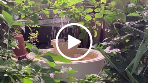 Customer video review of Lago 22.5" Instant Pond Fountain (Pre-Order) Ships Out March 2025