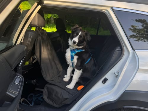 Customer photo review of Rear Seat Cover for Fold Down Seats with Hammock Mesh Window