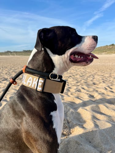 undefined review of Item Personalization image 1 out of 2