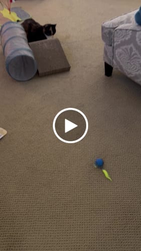 Sandra B. review of PRIORITY PROCESSING image 1 out of 1