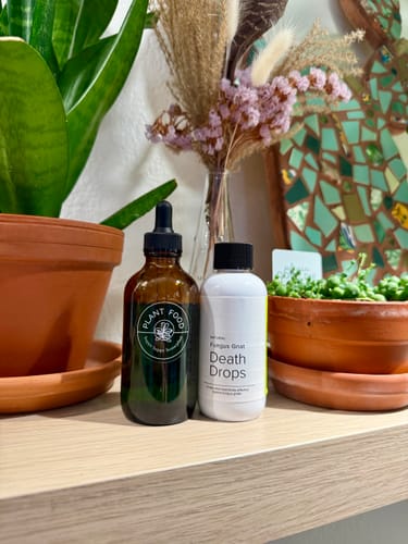 Customer photo review of Fungus Gnat Death Drops