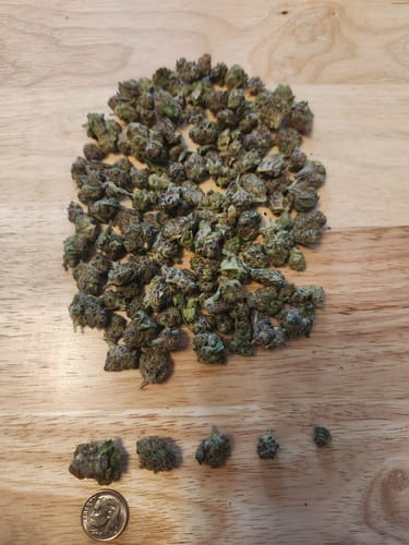 Customer photo review of Gorilla Glue Greenhouse THCA