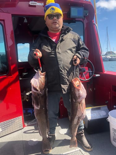 Customer photo review of Fisherman's Life® Vertical Jigs 100g, 150g, 200g, 300g FOUR COLORS available