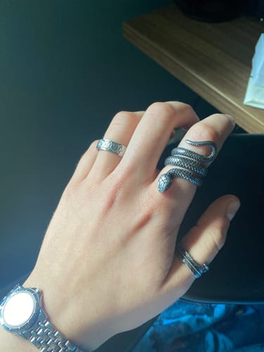 Customer photo review of SERPENT.
