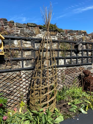 Customer photo review of The Willow Plant Support - Online Course and Kit