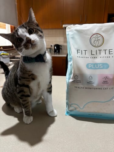 Customer photo review of Fit Litter PLUS - 3 month supply - 1 cat