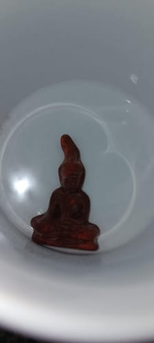 Customer photo review of Phra Gribua - amulette Thai de santé pour eau bénie de guérison.