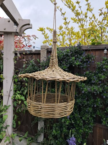 Customer photo review of The Bird Feeder Kit