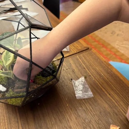 Customer photo review of Closed Bioactive Terrarium Kit
