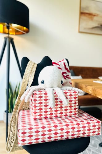 Customer photo review of The Mini Octopus