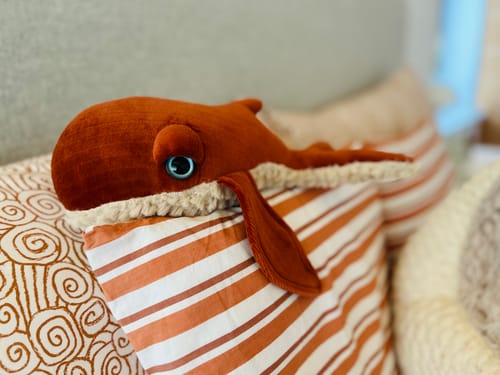 Customer photo review of The Mini Whale