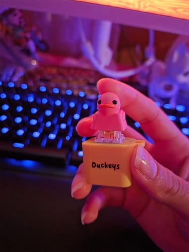 Customer photo review of Quackey - Fidget Toy that Quacks!