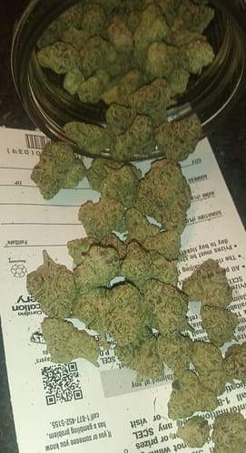 Customer photo review of PK Runtz - Exotic THCA (Smalls)