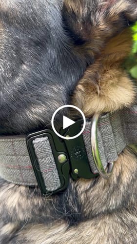 Customer video review of 5cm Tweed Combat® Collar | With Handle & Secure Clip - Stone Grey