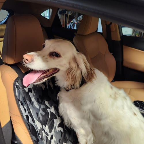 Customer photo review of Front Seat (Bucket Seat) Cover