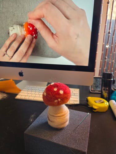 Natalie B. review of Sophie Wheatley's Felted Fungi Supplies Box image 1 out of 5