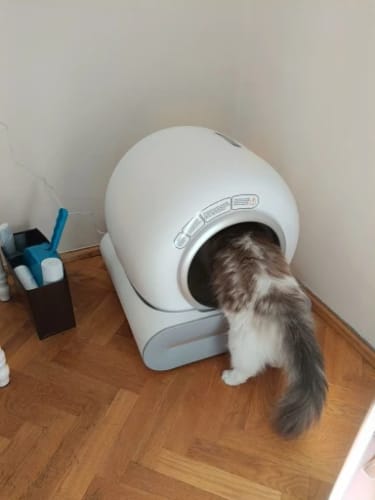 Customer photo review of PawLuxe™ MaxClean 65L Automatic Self-Cleaning Litter Box – App-Controlled, Fully Enclosed, Multi-Cat Ready