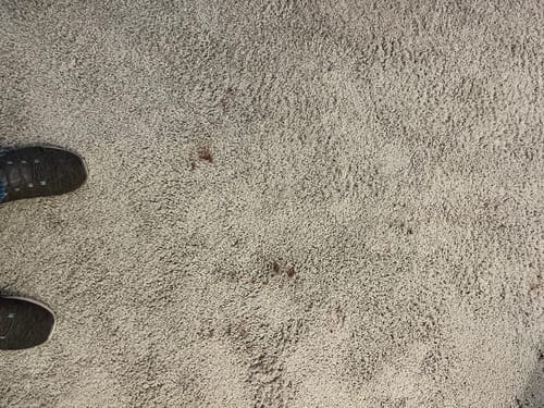 Customer photo review of Green Mitt Kit