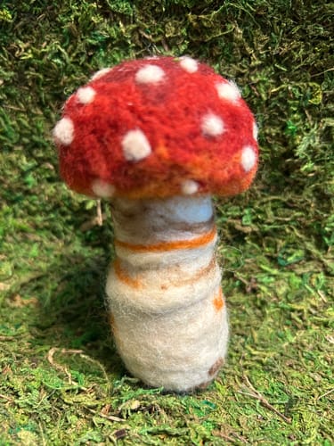 Betty A. review of Sophie Wheatley's Felted Fungi Supplies Box image 1 out of 1