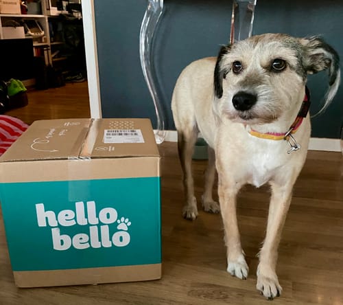 Customer photo review of Frischfutter für Energiebedarf von 576 kCal/Tag