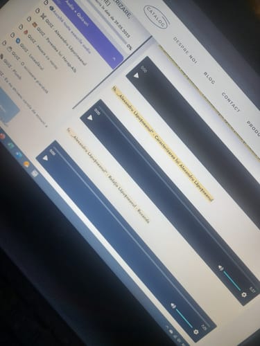 Recenzie cu fotografie de la un client despre Audiobook – Eseuri Audio BAC Română (temă și viziune, caracterizare, relație) + Quiz-uri