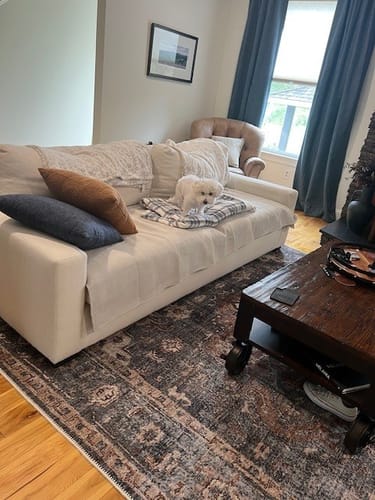 Customer photo review of Distressed Vintage Cezanne Area in Grey Rug