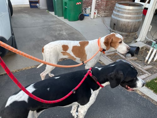 Customer photo review of FIDA Durable Slip Lead