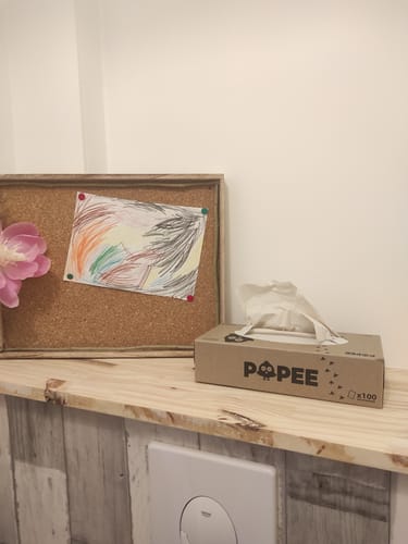 Customer photo review of KIT DÉCOUVERTE - Papier toilette, essuie-tout, mouchoirs