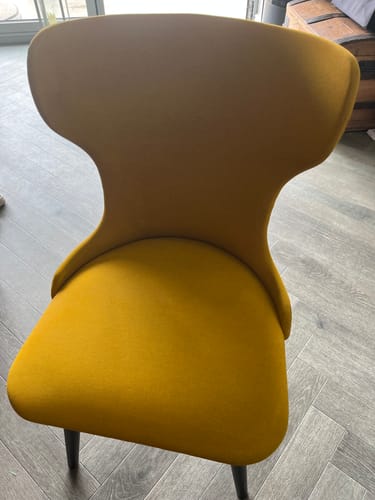 Customer photo review of Fabric Paint -- Mustard Yellow