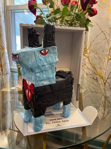 Customer photo review of Fangtastic Birthday Vampire Piñatagram