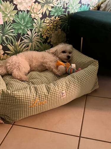 Customer photo review of Divanetto Vichy Verde Pistacchio