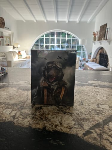 Customer photo review of Spitfire Pilot – Custom Pet Canvas