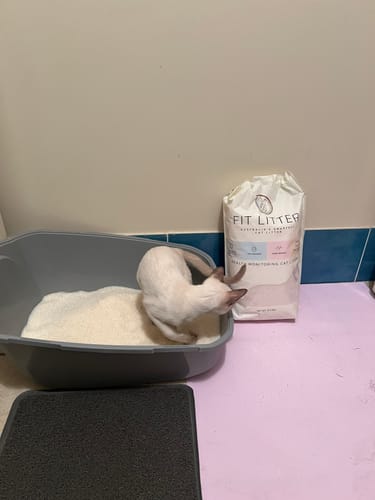 Customer photo review of 3 Month Supply - 1 Cat