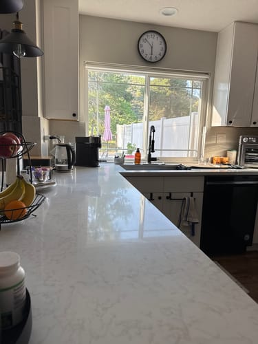 Customer photo review of Multi-Surface Concentrate 4x