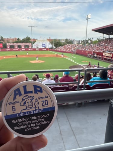 Customer photo review of Chilled Mint Nicotine Pouches