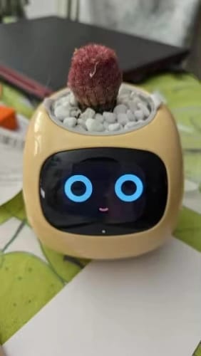 Customer photo review of LitLamp™ Ivy Smart Planter