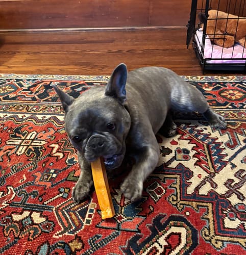 Customer photo review of Mix Flavored Chews ( A Bundle of 6 Sticks )