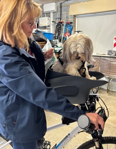 Customer photo review of Kvisp Dog Bike Carrier