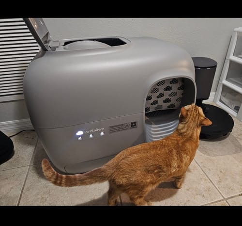 Customer photo review of Self-Cleaning Litter Box